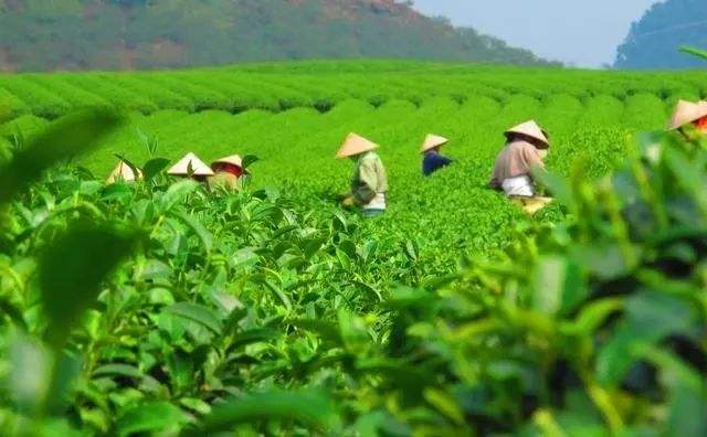 在线进销存,进销存软件,经销商管理,crm管理系统,免费进销存软件,进销存软件哪个好,进销存软件免费版